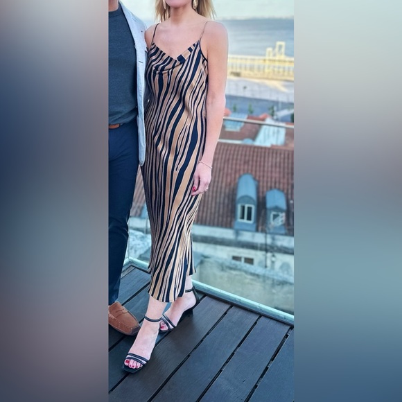 Banana Republic Zebra Animal Print Slip Dress Size 4 - Picture 4 of 7